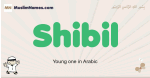 Shibil muslim boys name and meaning, islamic boys name Shibil