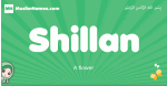 Shillan arabic girl name and meaning, quranic girls name Shillan