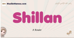 Shillan muslim girls name and meaning, islamic girls name Shillan