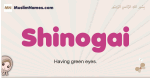 Shinogai muslim girls name and meaning, islamic girls name Shinogai