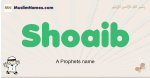 Shoaib muslim boys name and meaning, islamic boys name Shoaib
