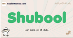 Shubool muslim boys name and meaning, islamic boys name Shubool