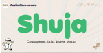 Shuja muslim boys name and meaning, islamic boys name Shuja