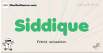 Siddique muslim boys name and meaning, islamic boys name Siddique