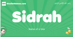 Sidrah arabic girl name and meaning, quranic girls name Sidrah