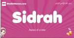 Sidrah arabic girls name and meaning, muslim girl name Sidrah