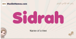 Sidrah muslim girls name and meaning, islamic girls name Sidrah