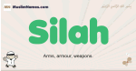 Silah muslim boys name and meaning, islamic boys name Silah