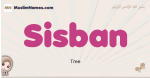 Sisban muslim girls name and meaning, islamic girls name Sisban