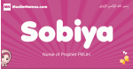 Sobiya arabic girls name and meaning, muslim girl name Sobiya
