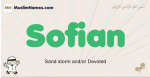 Sofian muslim boys name and meaning, islamic boys name Sofian