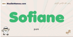 Sofiane muslim boys name and meaning, islamic boys name Sofiane
