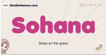 Sohana muslim girls name and meaning, islamic girls name Sohana