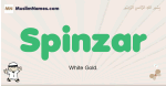 Spinzar muslim boys name and meaning, islamic boys name Spinzar