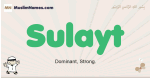 Sulayt muslim boys name and meaning, islamic boys name Sulayt