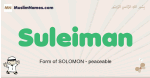 Suleiman muslim boys name and meaning, islamic boys name Suleiman