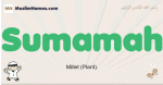 Sumamah muslim boys name and meaning, islamic boys name Sumamah