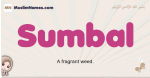 Sumbal muslim girls name and meaning, islamic girls name Sumbal