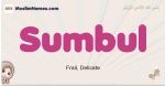 Sumbul muslim girls name and meaning, islamic girls name Sumbul