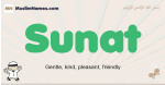 Sunat muslim boys name and meaning, islamic boys name Sunat
