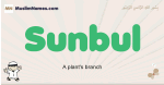 Sunbul muslim boys name and meaning, islamic boys name Sunbul