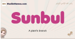 Sunbul muslim girls name and meaning, islamic girls name Sunbul