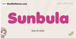 Sunbula muslim girls name and meaning, islamic girls name Sunbula