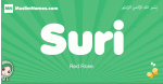 Suri arabic girl name and meaning, quranic girls name Suri