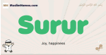 Surur muslim boys name and meaning, islamic boys name Surur