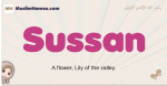 Sussan muslim girls name and meaning, islamic girls name Sussan