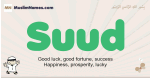 Suud muslim boys name and meaning, islamic boys name Suud
