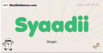 Syaadii muslim boys name and meaning, islamic boys name Syaadii