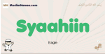 Syaahiin muslim boys name and meaning, islamic boys name Syaahiin