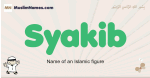 Syakib muslim boys name and meaning, islamic boys name Syakib
