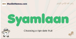 Syamlaan muslim boys name and meaning, islamic boys name Syamlaan