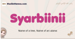 Syarbiinii muslim girls name and meaning, islamic girls name Syarbiinii