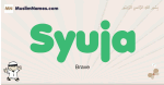 Syuja muslim boys name and meaning, islamic boys name Syuja