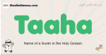 Taaha muslim boys name and meaning, islamic boys name Taaha