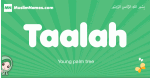 Taalah arabic girl name and meaning, quranic girls name Taalah