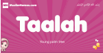 Taalah arabic girls name and meaning, muslim girl name Taalah