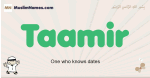 Taamir muslim boys name and meaning, islamic boys name Taamir