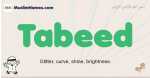 Tabeed muslim boys name and meaning, islamic boys name Tabeed