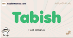 Tabish muslim boys name and meaning, islamic boys name Tabish