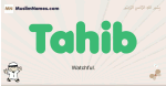 Tahib muslim boys name and meaning, islamic boys name Tahib