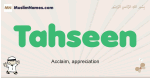Tahseen muslim boys name and meaning, islamic boys name Tahseen