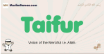 Taifur muslim boys name and meaning, islamic boys name Taifur