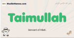 Taimullah muslim boys name and meaning, islamic boys name Taimullah