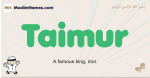 Taimur muslim boys name and meaning, islamic boys name Taimur