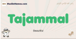 Tajammal muslim boys name and meaning, islamic boys name Tajammal