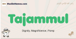 Tajammul muslim boys name and meaning, islamic boys name Tajammul